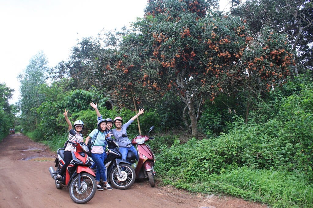 bd-an-trai-cay-phu-phe-o-10-thien-duong-cay-trai-1