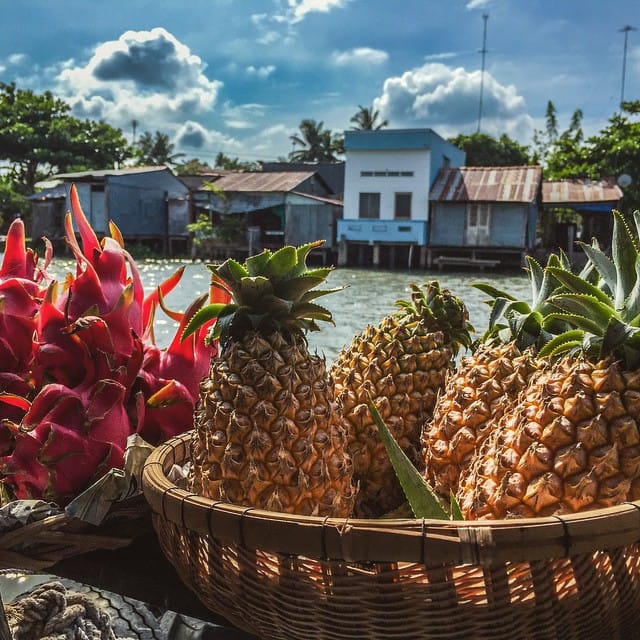 bd-an-trai-cay-phu-phe-o-10-thien-duong-cay-trai-31