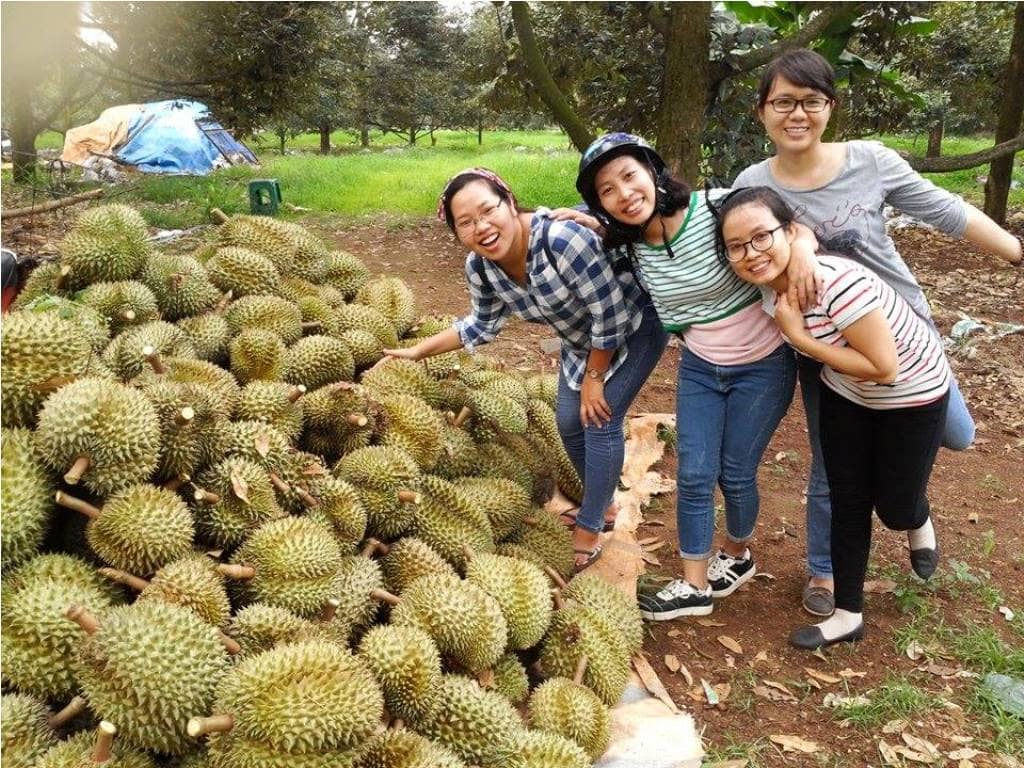 bd-an-trai-cay-phu-phe-o-10-thien-duong-cay-trai-3