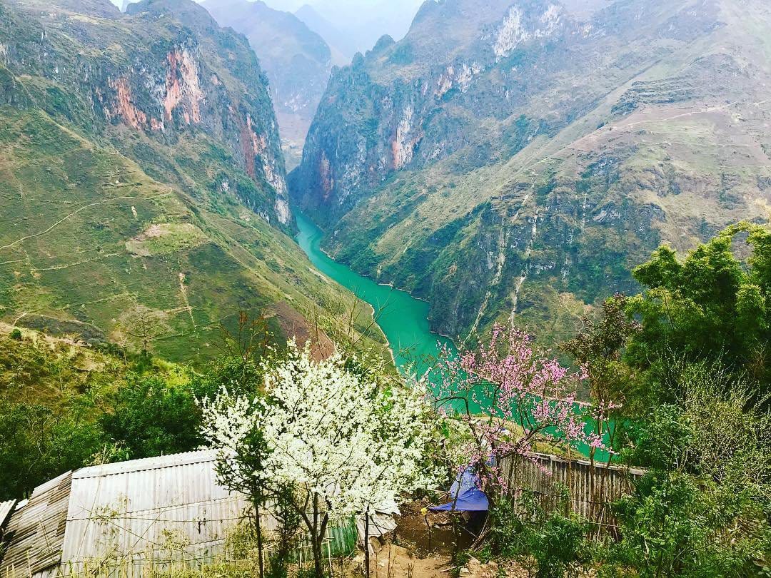 chinh-phuc-da-bac-de-nhu-an-banh-voi-so-tay-du-hi-tu-a-z-2