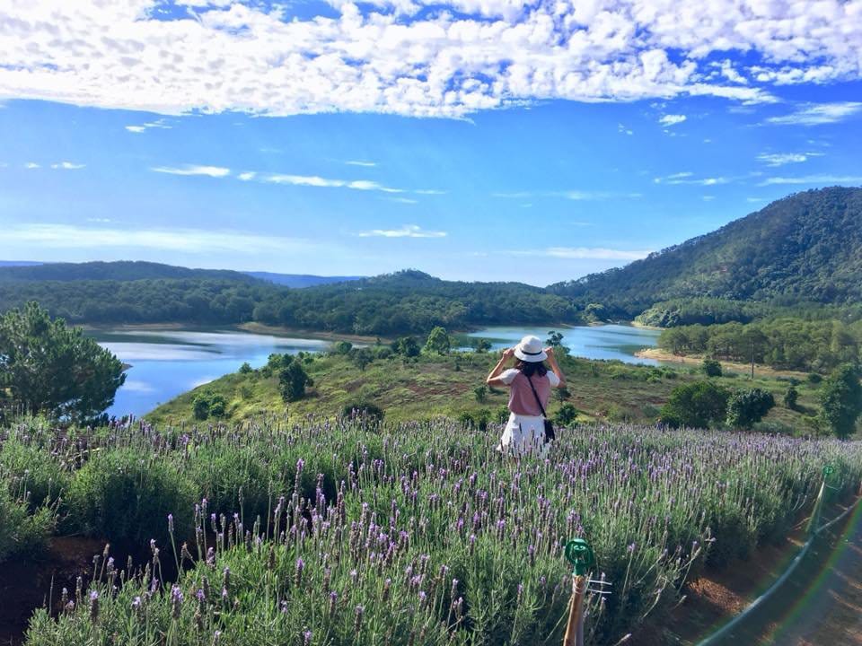 ghim-nay-toa-do-canh-dong-lavender-moi-toanh-dep-xuat-sac-giua-troi-da-lat-14