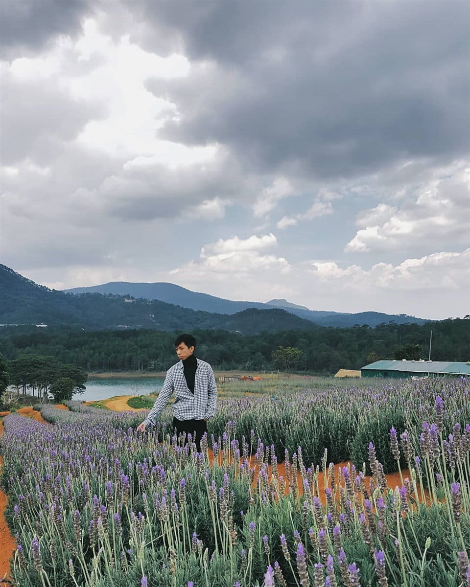 ghim-nay-toa-do-canh-dong-lavender-moi-toanh-dep-xuat-sac-giua-troi-da-lat-9