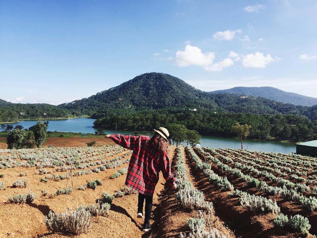 ghim-nay-toa-do-canh-dong-lavender-moi-toanh-dep-xuat-sac-giua-troi-da-lat-10